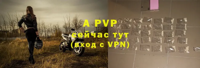 A PVP СК  Аткарск 