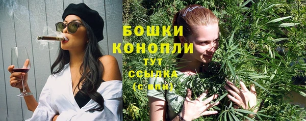 дживик Осинники