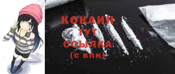 дживик Осинники