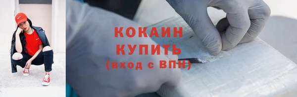 дживик Осинники