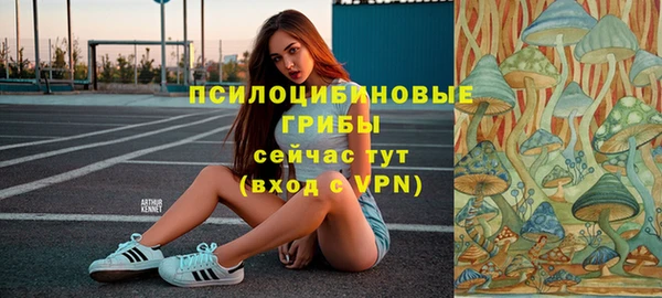 дживик Осинники