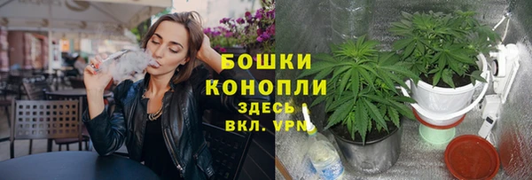дживик Осинники