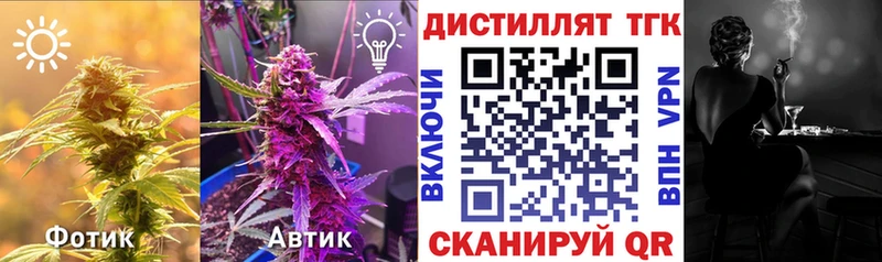ТГК THC oil  где купить наркоту  Аткарск 