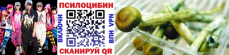Галлюциногенные грибы Magic Shrooms  закладки  Аткарск 